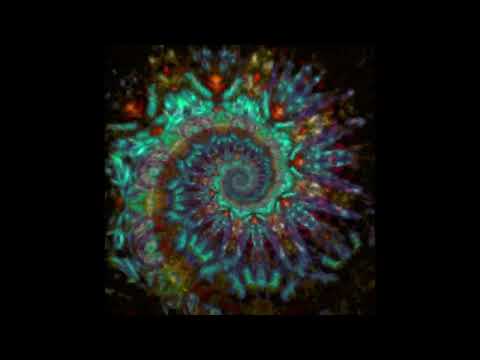 LSD (Porat Remix) · Invasion · Porat