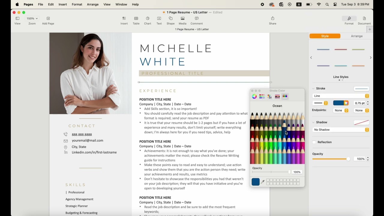 Mac Pages Resume Template/CV Template - 1. Filling in Your Resume - How to add or edit text & lines