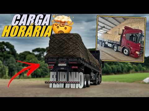 Guarapuava to Brasília - Tight schedule!!!