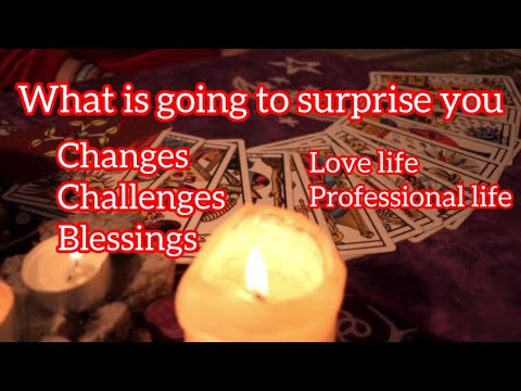 🌹💖WHAT’S NEXT IN LIFE( PERSONAL & PROFESSIONAL) 🧿WHAT IS GOING TO SHOCK YOU 💖🌹