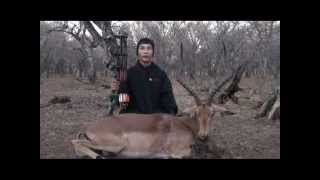 Bow Hunting Impala in Africa PERFECT SHOT from Mathews Jewel compound single cam bow