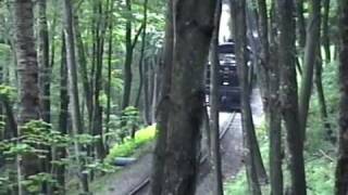 preview picture of video 'Cass Scenic 7.3.05, Part 5'