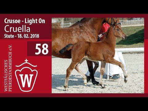 58 Cruella SF v. Crusoe - Light On