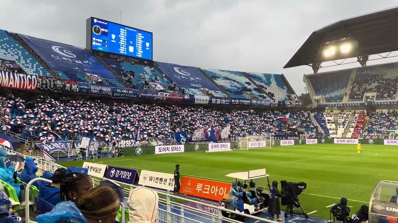 2026 K리그2 29R 수원 vs 화성 - 청백적의 챔피언 #축구 #국내축구 #k리그 #수원삼성 #수원삼성블루윙즈 