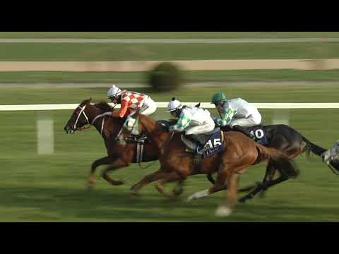 4. dostih - Cena EŽ Praha - dostihy Chuchle Arena Praha 21. 11. 2020