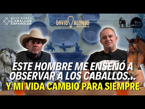 La Revolución del Bienestar Ecuestre en 4 Pilares – David Alonso, un Verdadero Líder del Cambio