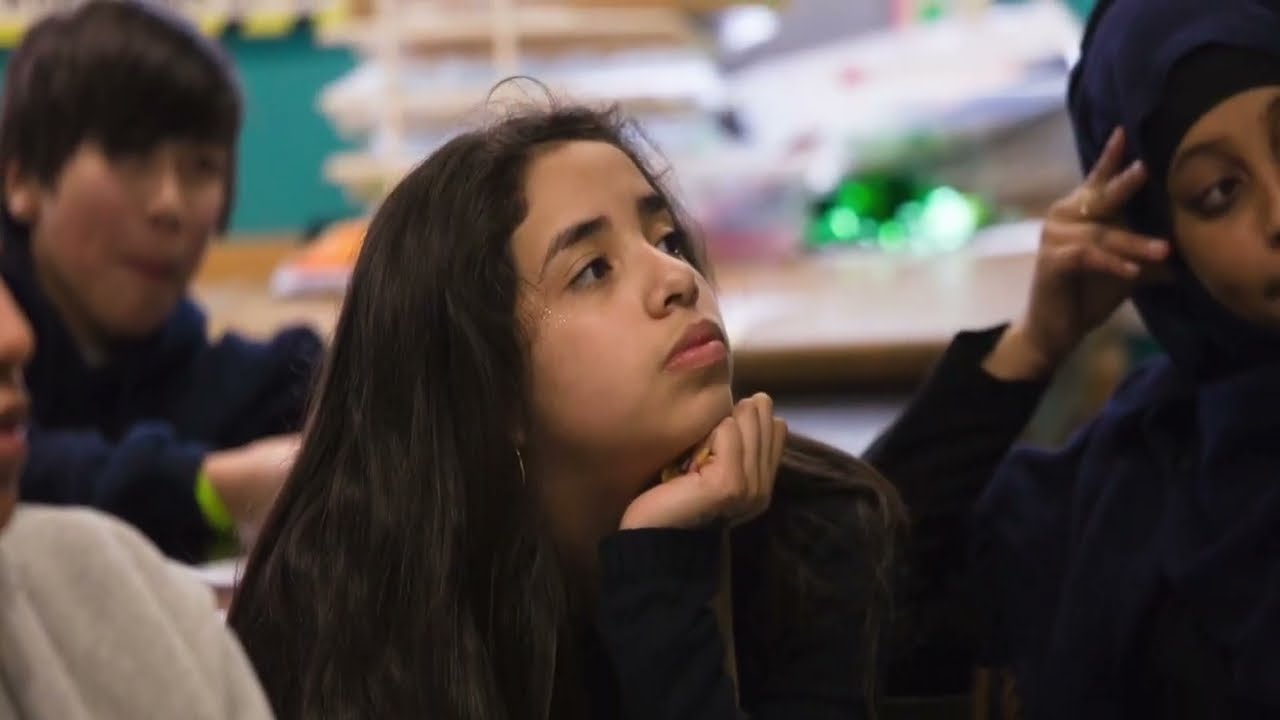 Orientation to Ambitious Science Teaching - Overview