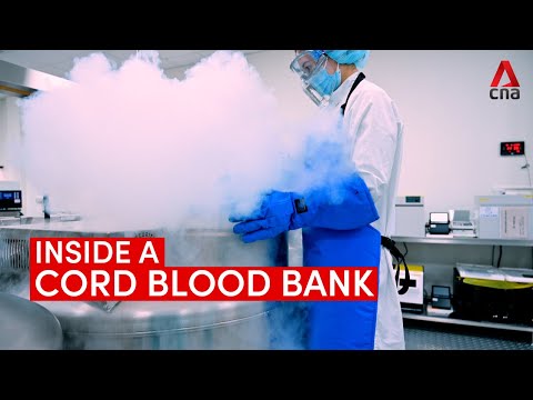 Inside a cord blood bank: How umbilical cord blood is stored at -180 degrees Celsius