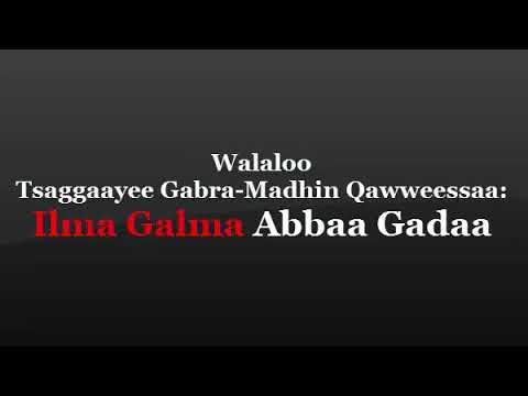 Ilma galma Abba gadaa