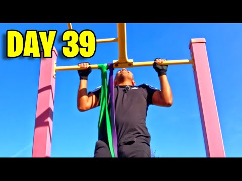 HardGainer Winter Bulk Day 39 - Back, Biceps & Forearms