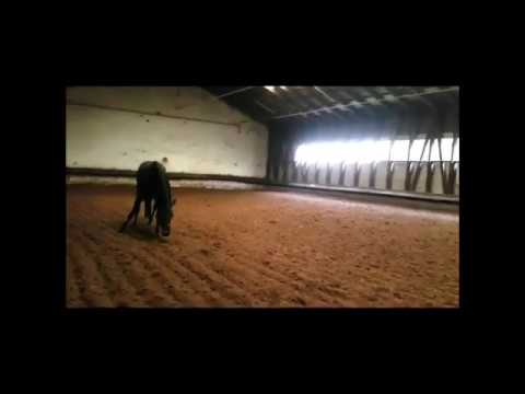 Schwalbentraum von Helium - Grand Corazon