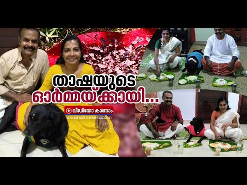 വളര്‍ത്തു നായയുടെ ഓര്‍മ്മക്കായി വീടിന് മുന്നില്‍ സ്മൃതി കുടീരം | Dog Thasha