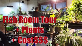 Fish Room Tour 40+ tanks & Cost $$$!!! #houseplants #fishtank #aquarium 
