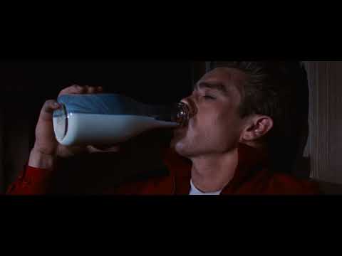 Rebel Without a Cause but it's just all the gay shit