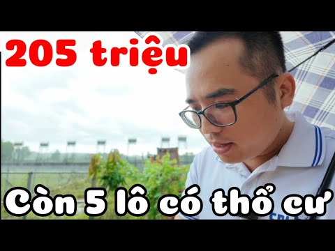 Chủ đất dầm mưa rao bán 5 lô đất thổ cư 205 triệu đường ô tô xe tải ở Hảo Đước Tây Ninh