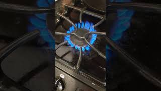 WHY GAS RANGE WONT STAY LIT?