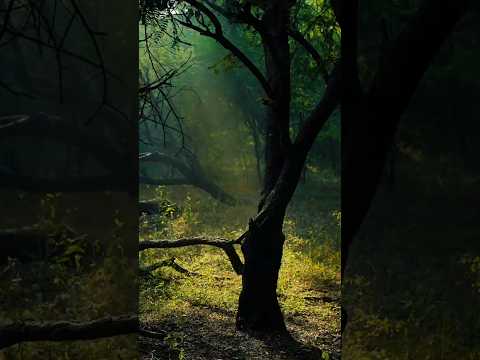 Pra te FORTALECER TOME POSSE (ouça)