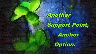 Support Point and Anchor Setting Options