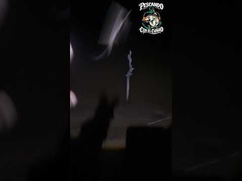 Pesca de un pequeño patti en El RIO SAN FRANCISCO YUTO JUJUY