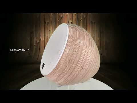 Série mirage : Enceinte et caisson de basse en bois_5