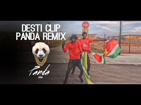 PANDA REMIX Official vidéo - RICHTER DESTI