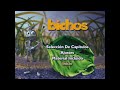 Bichos Una Aventura En Miniatura DVD Menú