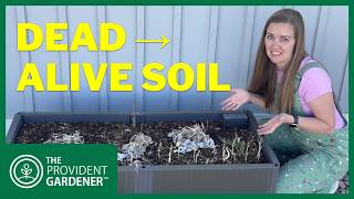 Old Potting Soil? Here’s How I Bring It Back to Life