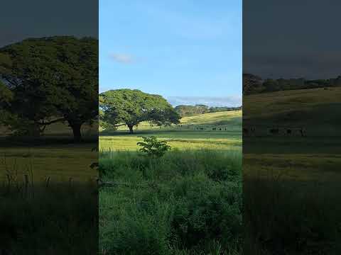 Espectaculares vistas en Usulután