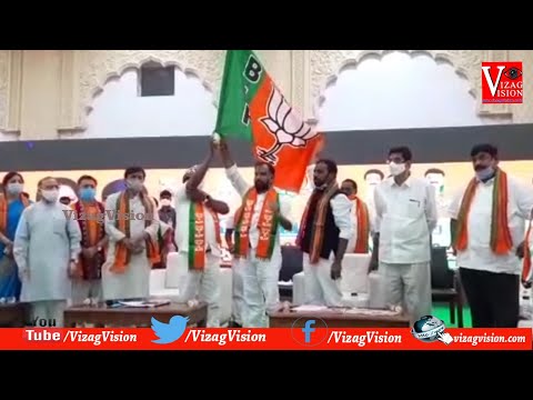 ఏనుగులు గ్రామాలలో 