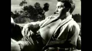 Elvis Presley Stand by me .