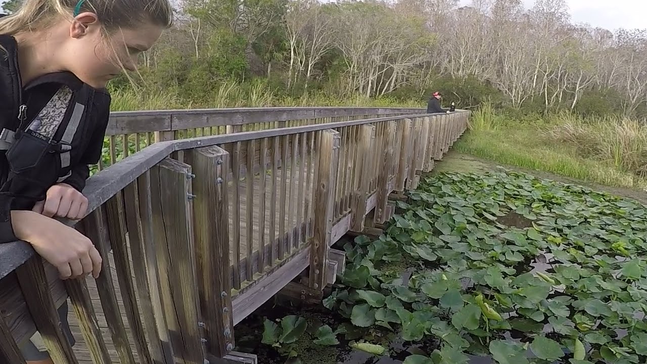 Hunting for Gators - Vlog 9