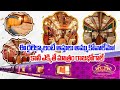 Golden Chariot Train A Luxury On Tracks Expectations From Golden Chariot Train Samayam Telugu