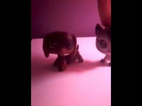 Szparup! Bellada o Pizzy szparap