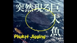 タイ　プーケット　ジギング　突然現る巨大魚