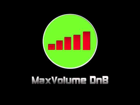 Chook and Phace - Frozen