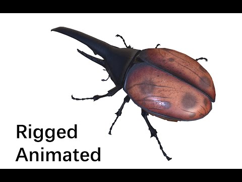 3D Animated Beetle