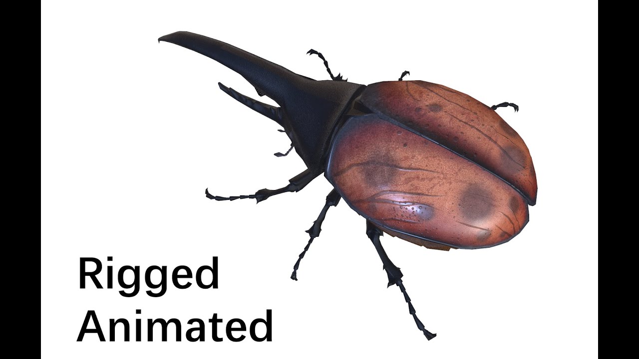Beetle dynastes 3D Model