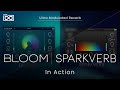 Video 3: In Action