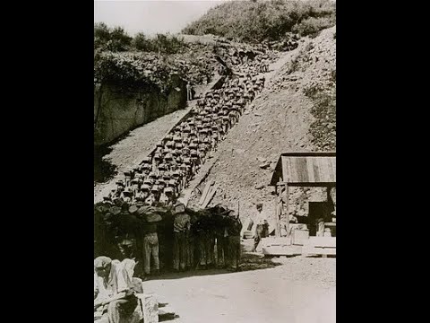 *Mauthausen: The Nazi Camp of Brutality, Forced Labor, and Unforgiving Death