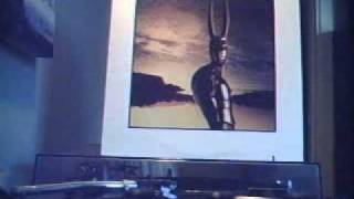 Rober Palmer Si Chatouilleux