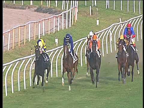 Galoppo 19/10/2017 - 4ª corsa