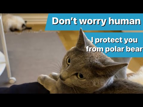 Ekaterina studying Bonnie from a safe distance