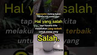 Download lagu penyesalan #quotes #storywa30detikgalau #storywa30detikgalau #sadstory #storyharian #storywa mp3