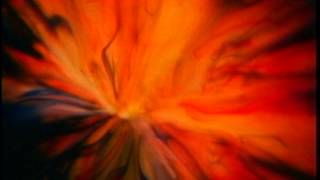 &quot;Not So Sweet Martha Lorraine&quot; - Nellie McKay