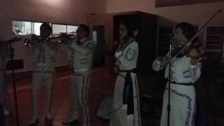 Video de Mariachi Show Perla de América