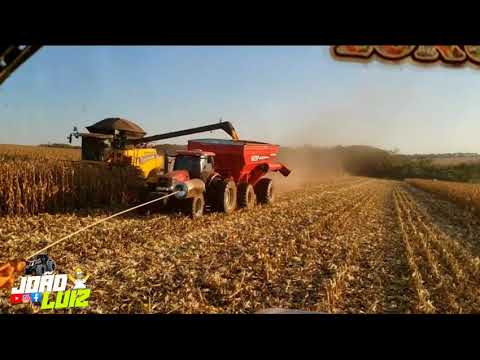 Bom dia moçada bruta