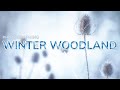 WINTER Woodland Photography | Winter Woodland Imagery | Winter Woods | Geoff Moore Photography