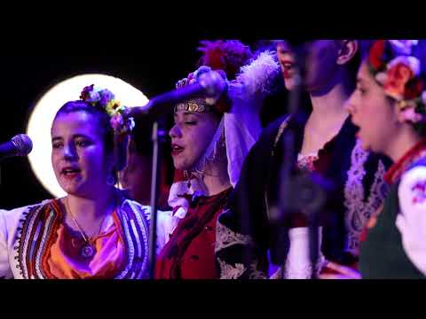 NUFI SHIROKA LAKA - TRAKA LAKA | MUSIC ELEVATOR 2021