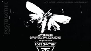 After Dusk - Endemoniada (Fields Of The Nephilim)