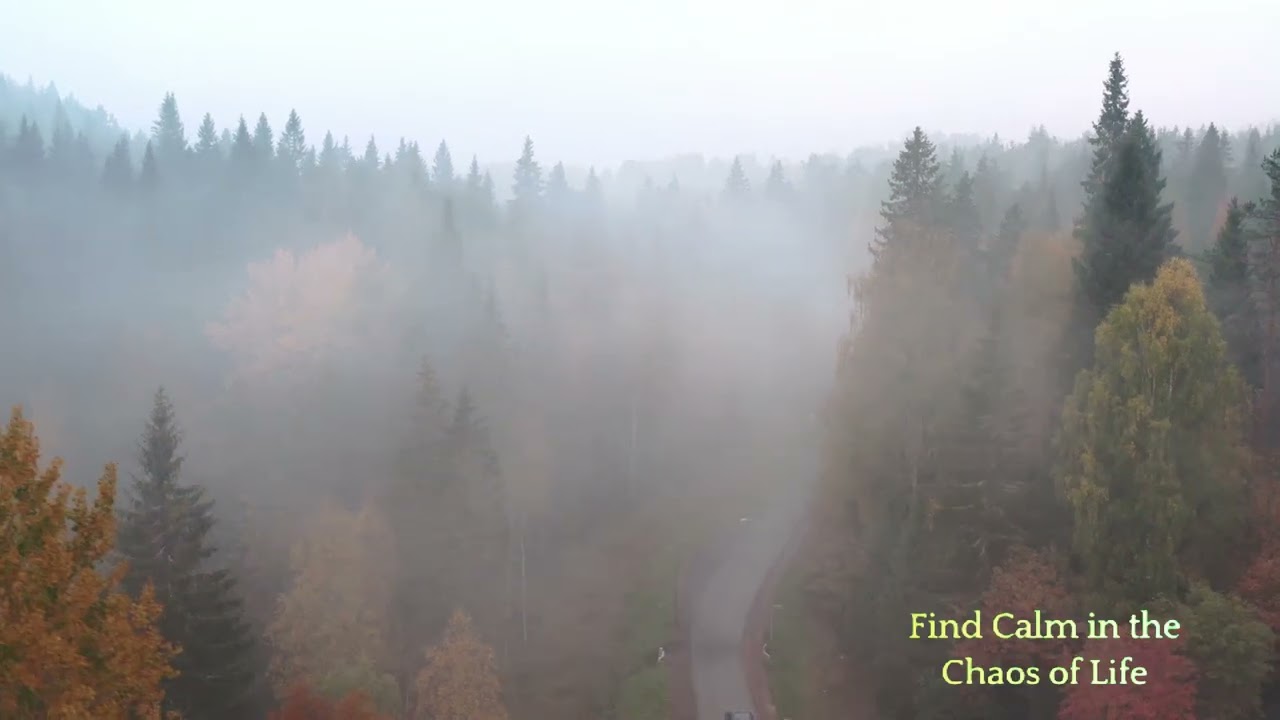 Achieving the Right Headspace with AI Meditation Tools, right headspace